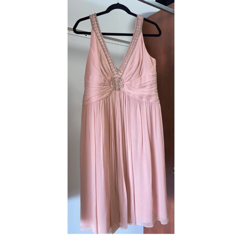 Maggy London Silk Blush Dress